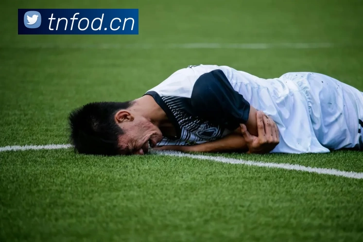 多媒体互动体验